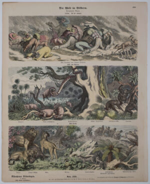 Der kleine Pepi mit der neuen Hose. en Die Welt in Bildern. (Dreizehnter Bogen) in de serie Münchener Bilderbogen (286 en 410), Afb.1
